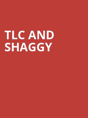 TLC and Shaggy Poster