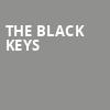 The Black Keys, PNC Bank Arts Center, New Brunswick